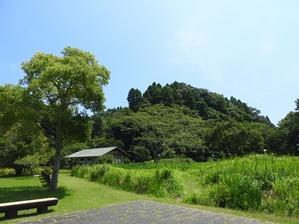 ヘクソカズラの花が咲き始めました - 千葉県いすみ環境と文化のさとセンター