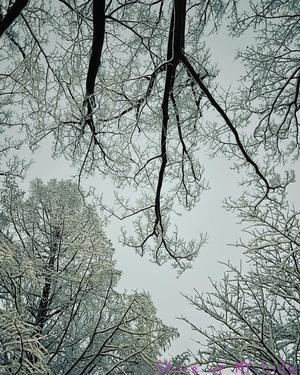 雪の写真 ＊ 人が道に座り込んでいた話し - Spice up MY Life