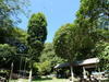 「みさき里山クラブ」活動紹介 - 夏の孝子の森は楽しみが一杯・・・特別活動日