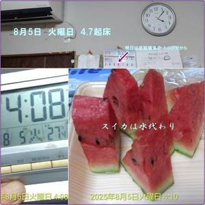 ミニ菜園のトマト処分　スイカでコミニケーション　 - 小次郎じじ物語