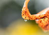 My favorite picture - 雨の合間