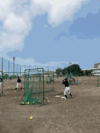静岡ふじっぴーずのブログです - 田方農業高校との合同練習