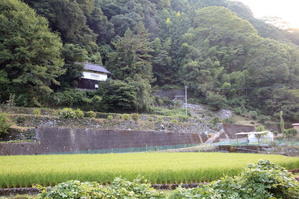 上川の日常