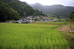 上川の日常