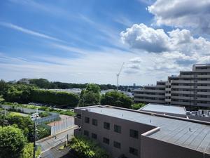 最後の夏になるか？猛暑の婚活 - 土佐婚倶楽部