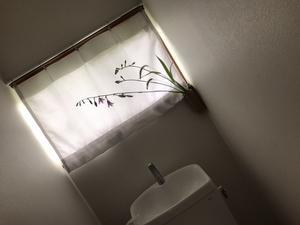 八ヶ岳西麓にて大豆を作りながら、古いものと楽しく暮す