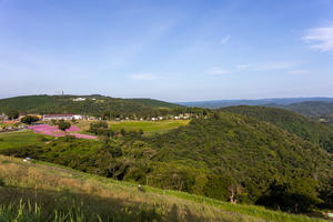 【マザー牧場】桃色吐息 - うろ子とカメラ。Ⅱ