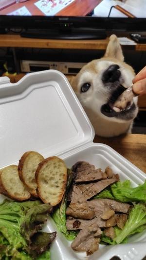 ヤマ弁 - yamatoのひとりごと