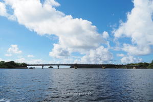 仲間川マングローブクルーズ - 陽だまりcafe