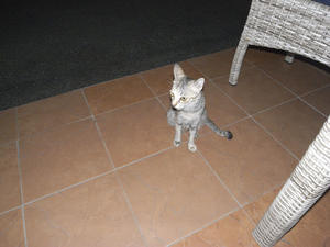 出会い、その2 - バリ島大好き