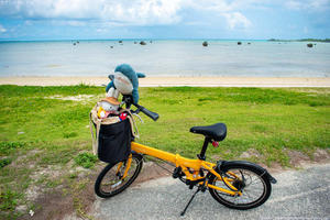 伊良部島「ソーキ亭いりくんやぁ」ホロホロソーキに感動！ - ワタシの旅じかん　Go around the world！