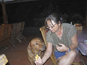 出会い、その零‼ - バリ島大好き