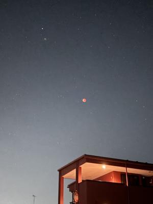 一応見ておく - Ohードキッ！くす