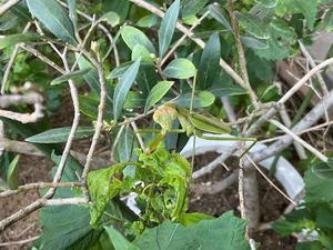 目が合い、見つめ合う - 20140427