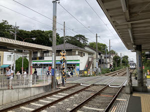 猫電に乗って - マイニチ★コバッケン