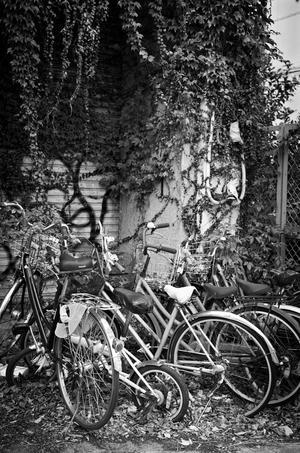 GOD Almighty - プラトンの洞窟