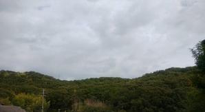 ９月２０日　週末恒例M山歩き - 週末は山歩き