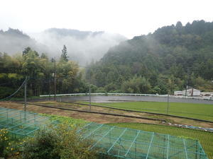 雨の一日 - ゆきだより。。日々つれづれ