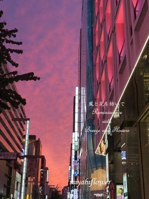 銀座の細長い夕焼け - 風と花を紡いで