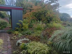 思い立って北海道……その３ - あけの秘密の花園