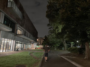 夜散歩 - マイニチ★コバッケン