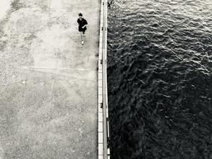 隅田川寸景 - スマホ散歩フォト