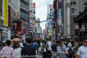 ［大阪］道頓堀商店街と『たこ焼道楽わなか』に行ってみた。 - 沖縄発-リーマントラベラー　～俺流はこれだ～