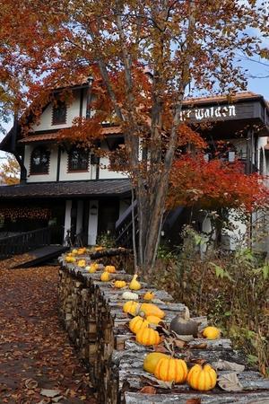 萌木の村　ハロウィン - 暮らしを紡ぐ2