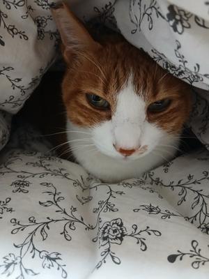 数学のこそ勉　3 - Wanderlust 3