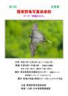 花野鳥風月MISCHEH - 関東野鳥写真倶楽部　第三回写真展