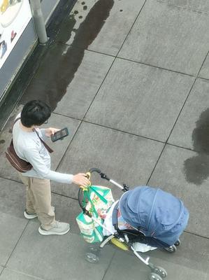 新1245-松山市堀之内にて - 見て見て俳句