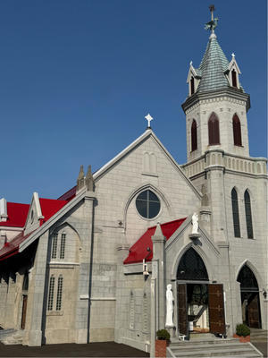 はこだて元町 - ミンミンゼミ