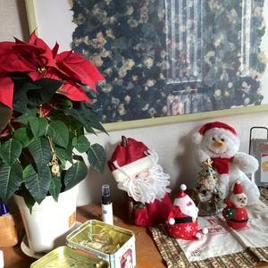 おうち図書館、今日木曜午後オープンしています。 - 英語絵本ワ－クショップの会 & おうち図書館