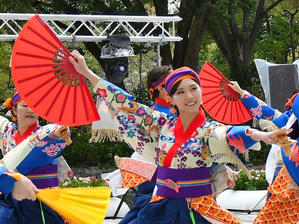 富山のよさこい祭り2025-26　「月光◎朝陽」・光の広場 - 祭りバカとは俺の事(仮)