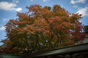 戦闘思考力 - プラトンの洞窟