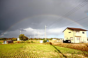 優しさに包まれたなら。゜ - フロリズム♪。*