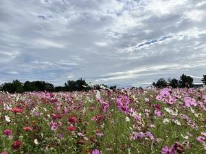 山口！3 - MyWorld is