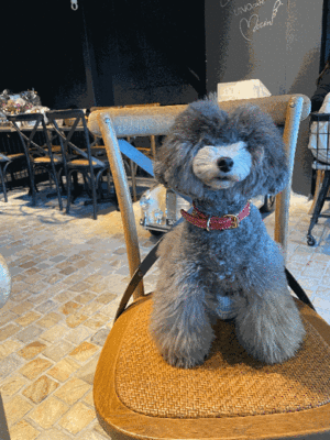 UNO Cafeに行ってきました。 - 小さな花アトリエ