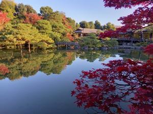 遭遇【ダイヤモンドプリンセス】エクスカーション御一行さま - クルーズとパリ旅行