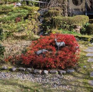 金沢犀川温泉 川端の湯宿「滝亭」BLOG