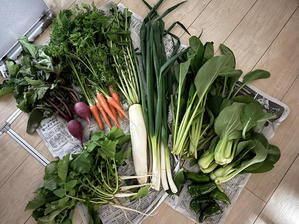 父さんの野菜 - マイニチ★コバッケン