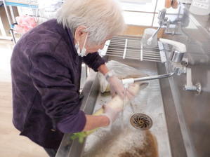 大根初収穫！！