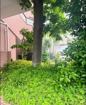 日々の小さな喜びに感謝。 - 明日大切な人に会えなくなっても後悔しないように一期一会を大切に♪グリーフケア&心理カウンセリング～Healing Room “Grace”天恵～