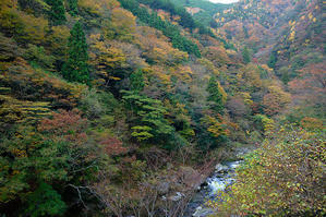 デジタルな鍛冶屋の写真歩記