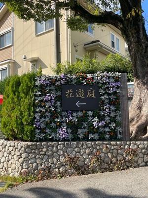 晩秋のおでかけ - ユリ　百合　ゆり　魚沼農場の日々