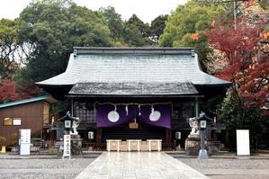 宇都宮出張 - e-very day　 フリーアナウンサー　フジオカエリのフォト日記