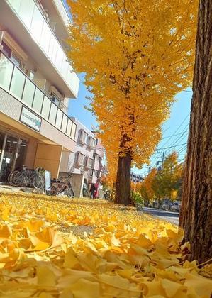 冬までのひととき - rimeiku TEMARI