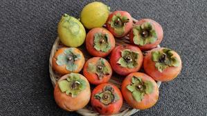 転ぶ - yamatoのひとりごと