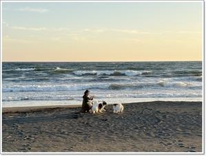 真夜中の物音 - くろわんこ日記