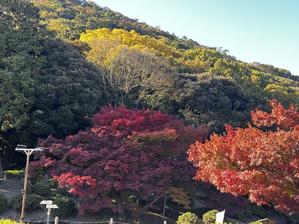 今年も年賀状を出せないです - やわらかな風の吹く場所に：母乳育児を応援